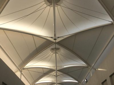 tencile-5